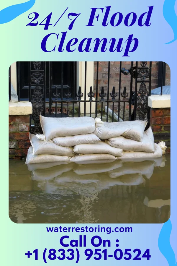 24/7 Flood Cleanup in Washington Park, IL