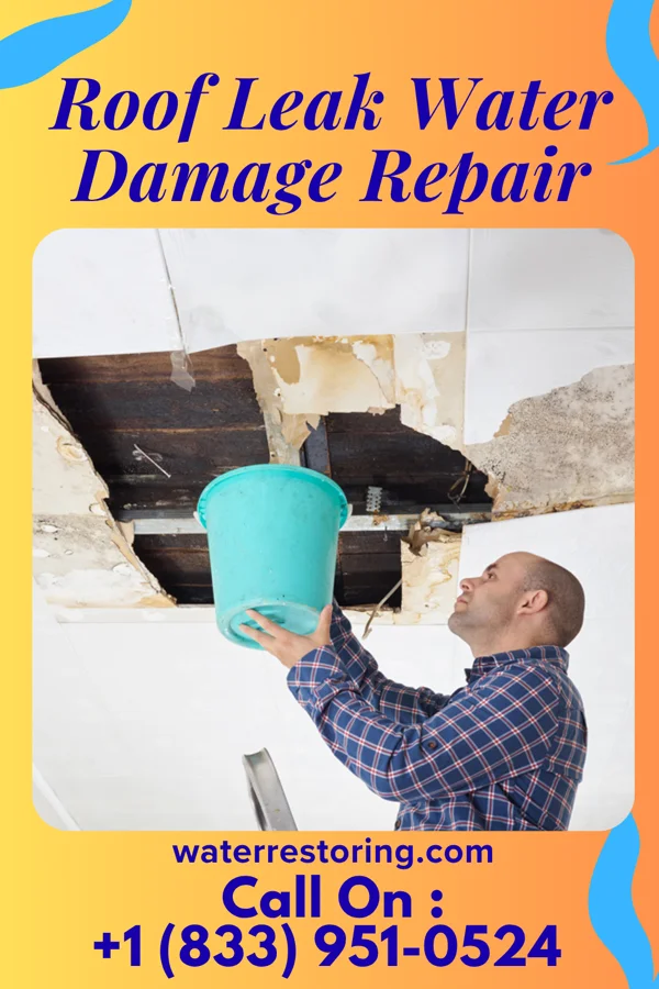 Roof Leak Water Damage Repair in Washington Park, IL
